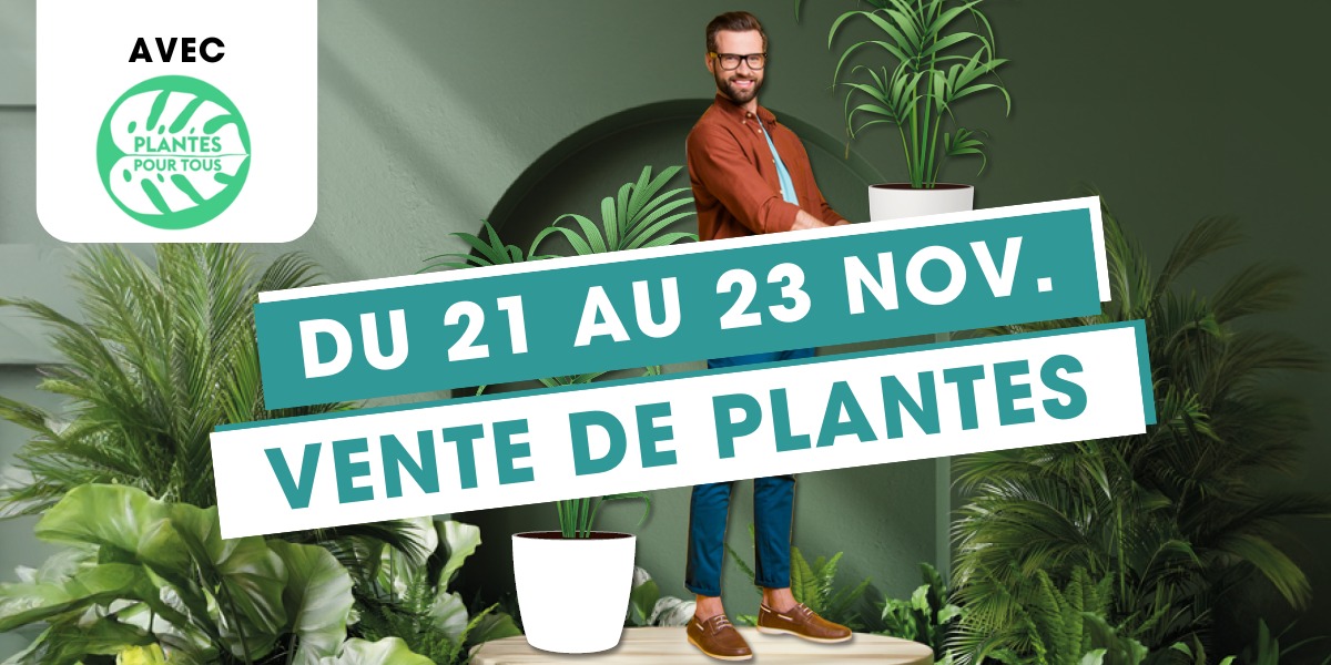 Le retour de Plantes pour tous ! 🪴
